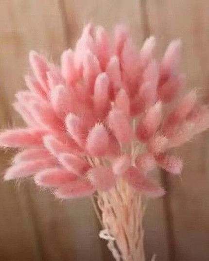 Rustic Boho Bunny Tail Dried Flower Arrangement for Weddings and Home Decor