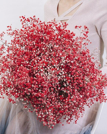 Elegant Preserved Baby's Breath Flowers: A Stylish Touch for Your Events and Home Decor