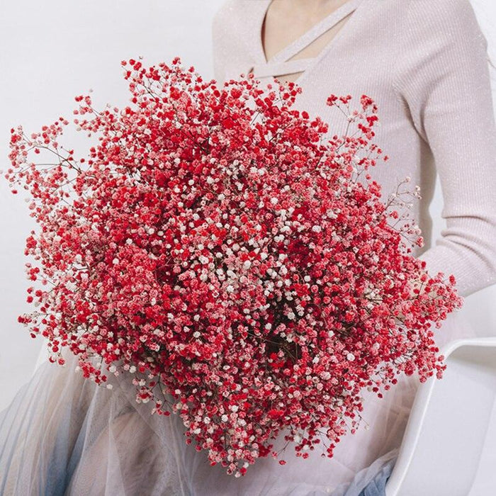 Elegant Preserved Baby's Breath Flowers: A Stylish Touch for Your Events and Home Decor