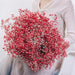 Elegant Preserved Baby's Breath Flowers: Japanese Technology for Chic Events and Decor