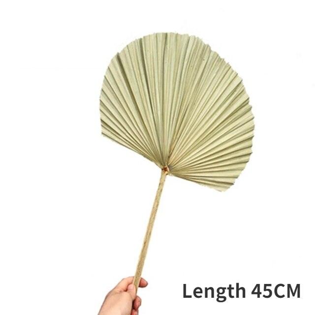 Bohemian Chic: Exquisite Palm Leaf and Pampas Grass Decor for Home and Weddings