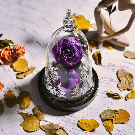 Eternal Enchantment LED Rose in Glass Dome - Timeless Beauty Display