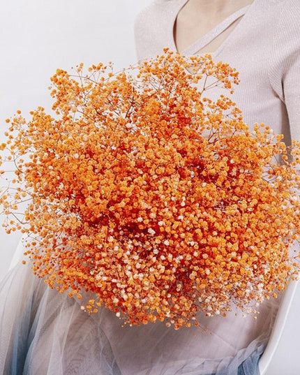 Elegant Preserved Baby's Breath Flowers: A Stylish Touch for Your Events and Home Decor