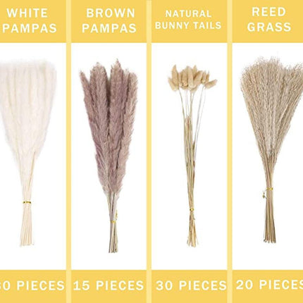 Bohemian Dream Pampas Grass Set - 95/60 Stem Collection
