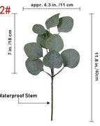 40cm-Eucalyptus