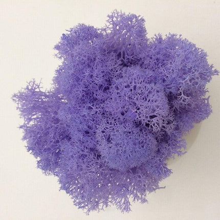 Timeless Elegance Moss Collection: Luxurious Artificial Plants for Upscale Home Decor