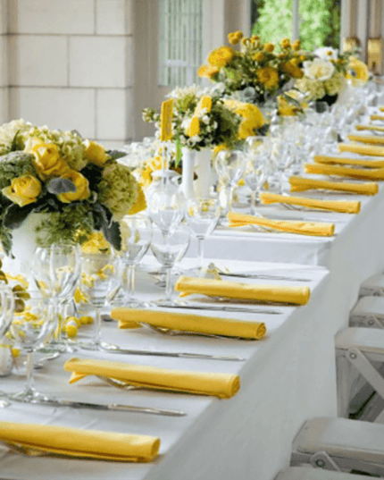 Elegant 25-Piece Satin Napkin Collection - Premium Table Linens for Special Events and Celebrations