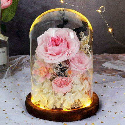 Timeless Blossom - Captivating Rose Preserved in Glass Dome