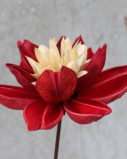 Artisanal Lotus Blossom Bouquet: A Rustic Touch for Your Home