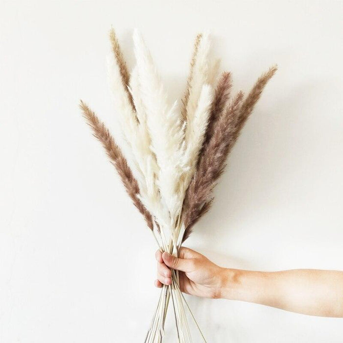 Elegant Natural Dried Pampas Grass Bunch for Chic Interior Decor