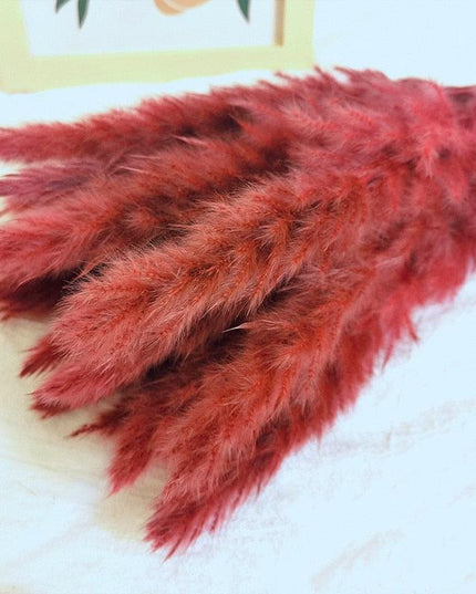 Chic Pampas Grass Home Decor Set - 15 Beautiful Dried Bouquets