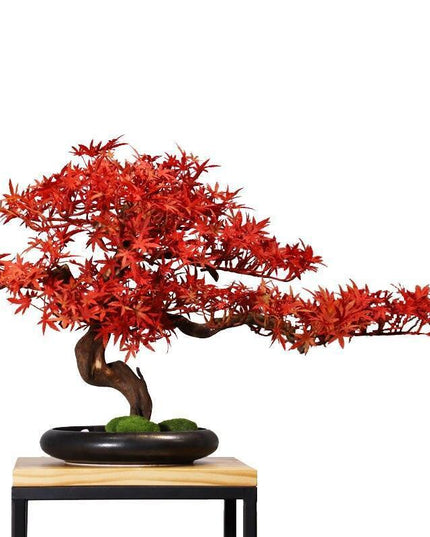 Stunning Lifelike Red Maple Bonsai Tree - Exquisite Desk Ornament