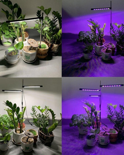 Advanced Spectrum LED Grow Light for Optimal Indoor Plant Growth