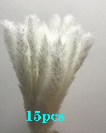 Bohemian Charm: 15-Piece Dried Pampas Grass Set - 45cm Stems