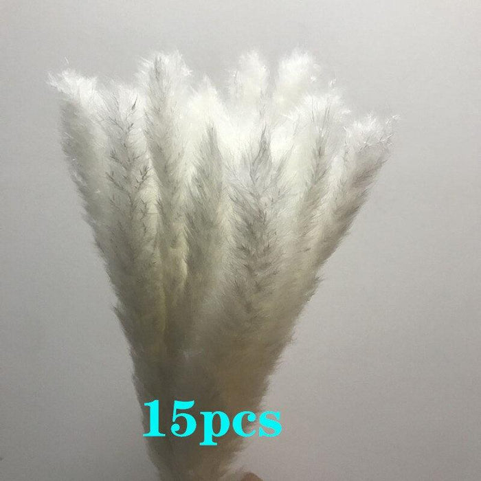 Boho Bliss: 15-Piece Assorted Dried Pampas Grass Bundle - 45cm Length