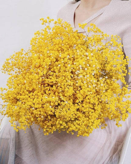 Elegant Preserved Baby's Breath Flowers: A Stylish Touch for Your Events and Home Decor