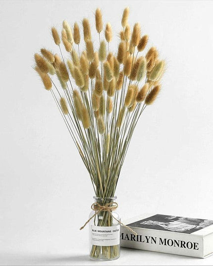 Whimsical Dried Bunny Tail Floral Arrangement - Elegant Home Decor