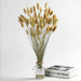 Ethereal Rabbit Tail Dried Floral Bundle - Elegant Preserved Flower Arrangement