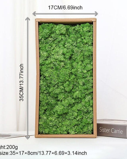 Timeless Greenery Art Creation Kit - Eternal Moss & Custom Grass Mix - 200g