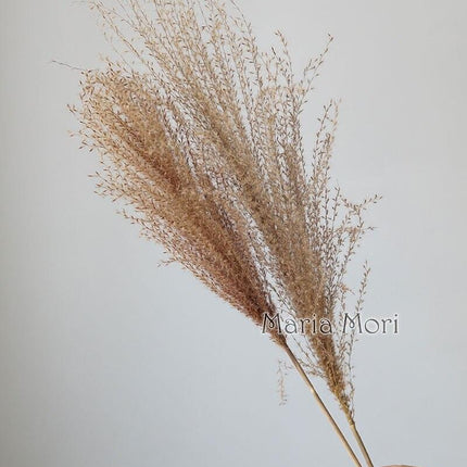 Eternal Charm: Artisan Dried Flower Arrangement for Home and Wedding Decor