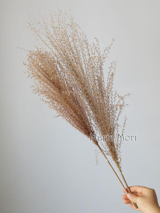 Elegant Natural Dried Flower Bouquet - Timeless Home and Wedding Decor