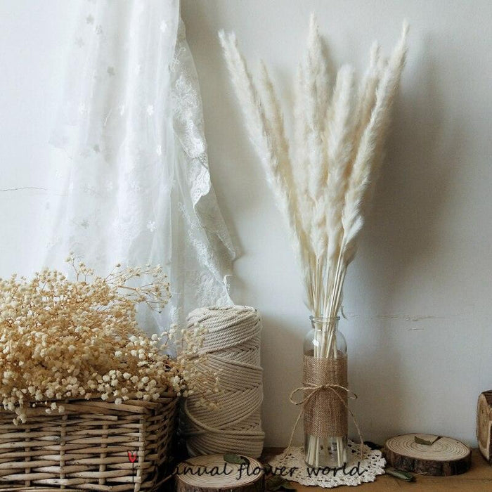 Elegant Natural Dried Pampas Grass Bunch for Chic Interior Decor