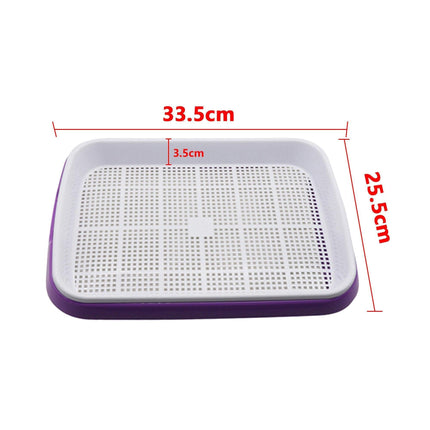 Effortless Fresh Produce Sprouting Kit for Home Nutrition