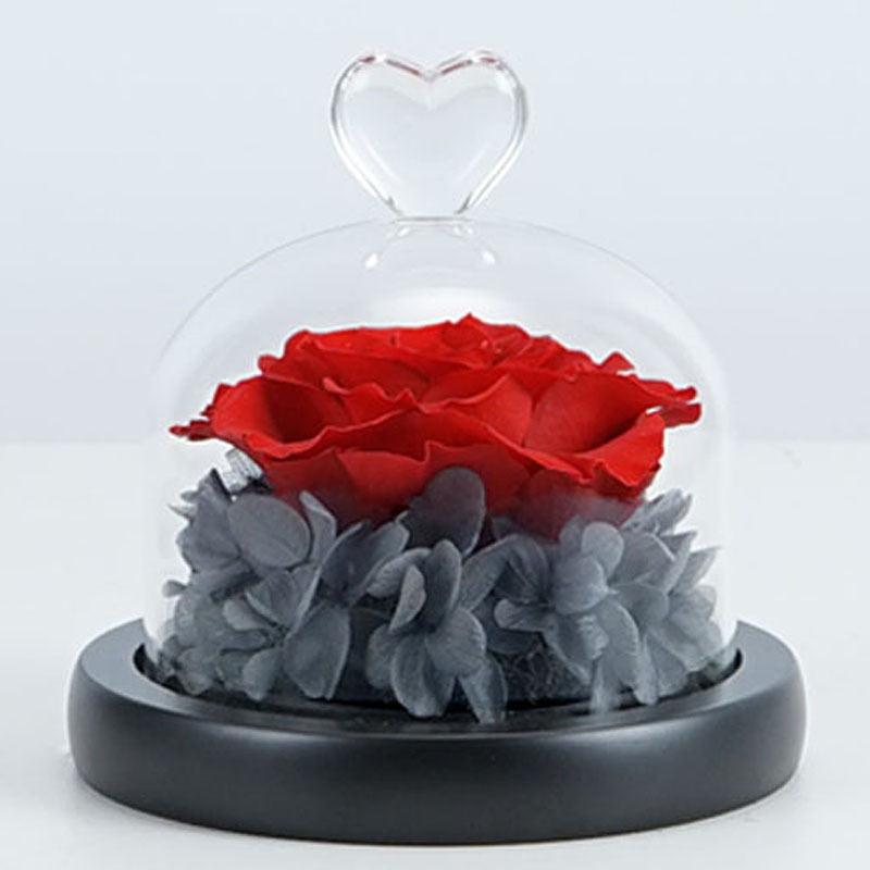 Exclusive Rose In Heart Glass Dome with Light Real Eternal Roses Beauty and The Beast Preserved Flower Rose Valentine&#39;s Day Gift-Home Décor›Flower & Plants›Everlasting & Preserved Fresh Flowers›Dried & Preserved Flora›Everlasting Flowers-Très Elite-A-12.5x13CM-Très Elite