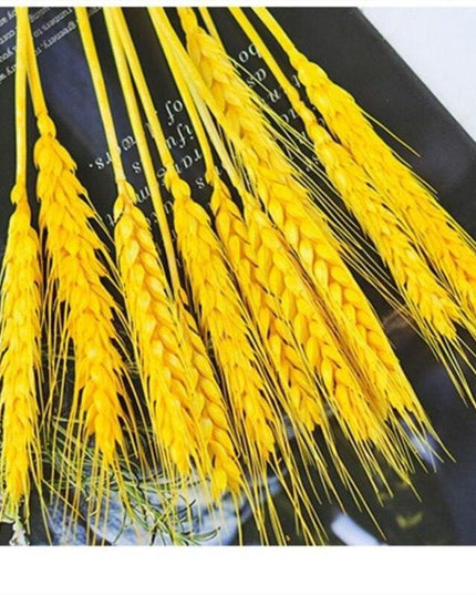 Natural Elegance Wheat Bundle - Timeless, Luxurious, and Abundant