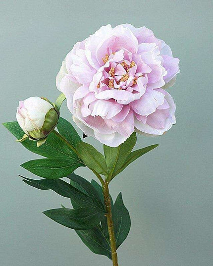 Silk Peony Stem: Exquisite Charm for Elegant Decor