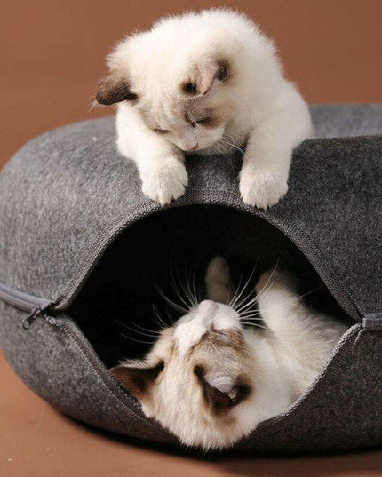 Purrfect Play Oasis: Versatile Cat Tunnel Bed with Training Features