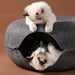 Interactive Cat Tunnel Bed with Dual Functionality and Training Feature