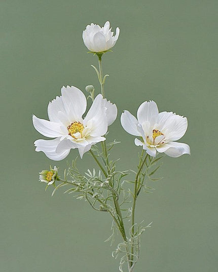 Charming Silk Queen Cosmos Flower Stem: Elegant Gesang Floral Branch
