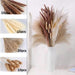 Bohemian Chic: Dried Palm Leaf and Pampas Grass Bouquet for Home and Wedding Décor