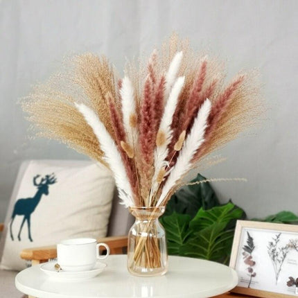 Chic 30-Piece Natural Dried Pampas Grass Rabbit Tail Bundle for Stylish Home Decor