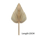 Bohemian Chic: Dried Palm Leaf and Pampas Grass Bouquet for Home and Wedding Décor