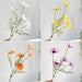 Elegant White Daisy Bouquet - Set of 5 Artificial Flower Stems