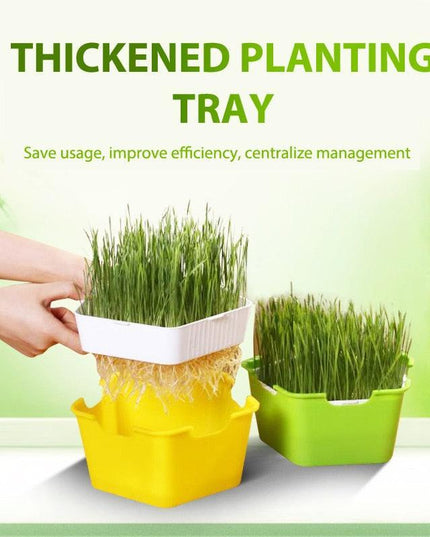 Quick Harvest Sprout Kit: Your Ultimate DIY Solution for Fresh, Nutritious Sprouts at Home