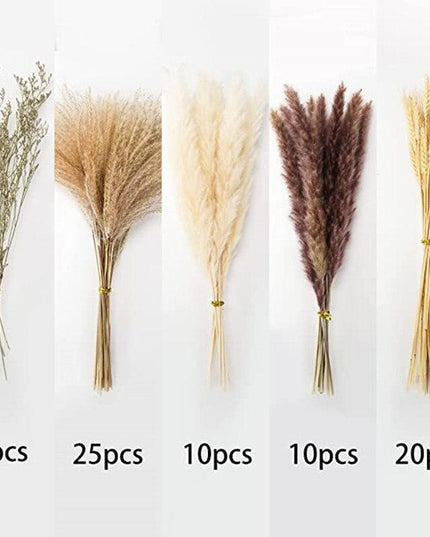 Elegant Dried Pampas Grass and Reed Arrangement | Timeless Natural Touch for Luxurious Decor