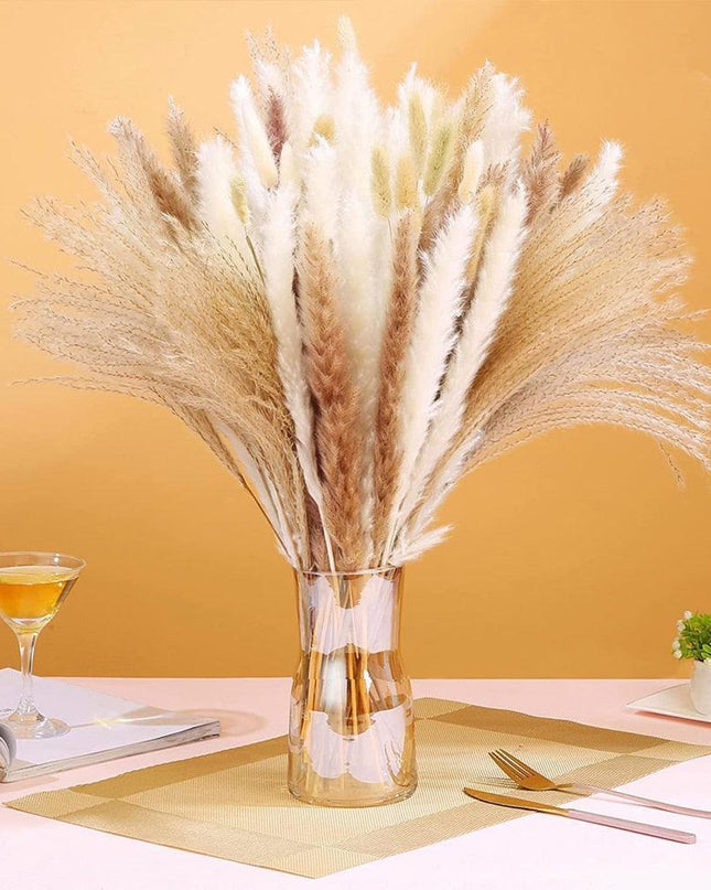 Bohemian Dream Pampas Grass Set - 95/60 Stem Collection