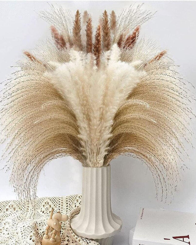 Bohemian Dream Pampas Grass Set - 95/60 Stem Collection
