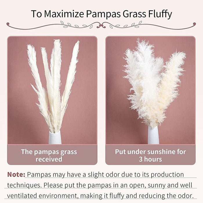 Elegant Natural Dried Pampas Grass Bouquet Set - Perfect for Weddings & Home Decor - 15 Pieces