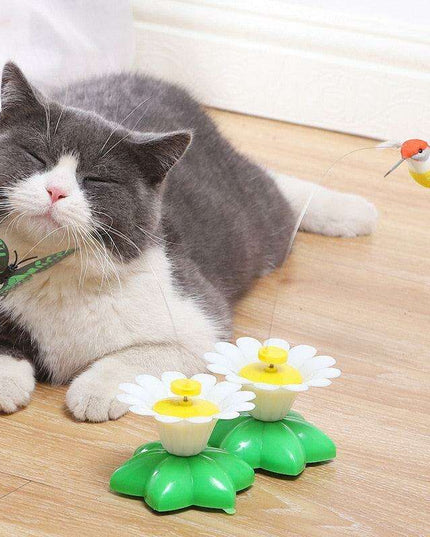 Electric Interactive Flying Insect Toy for Cats - Engaging Fun with Realistic Movements