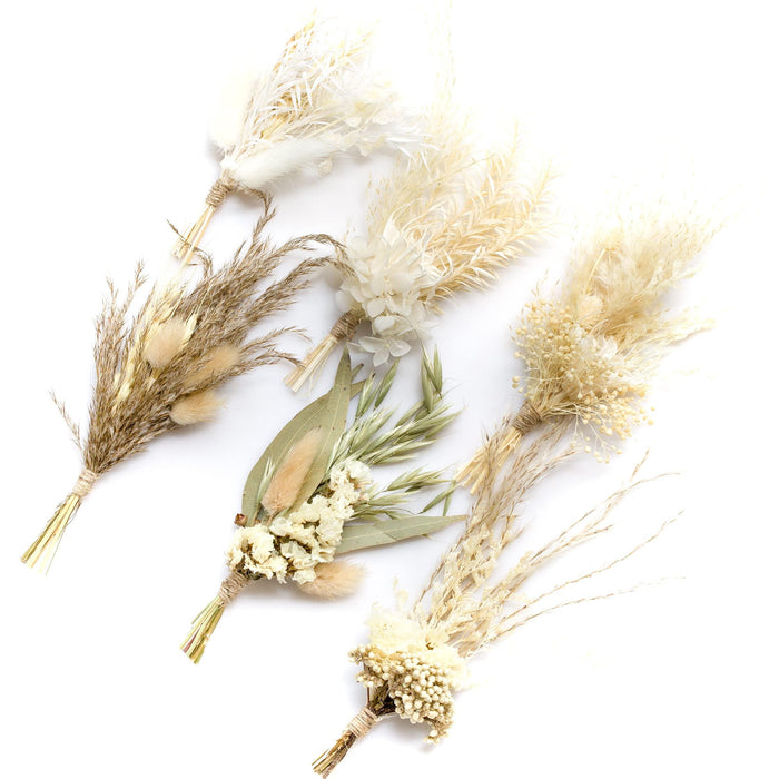 Preserved Hydrangea Dried Flowers Pampas Grass - Set of 6 Mini Packs