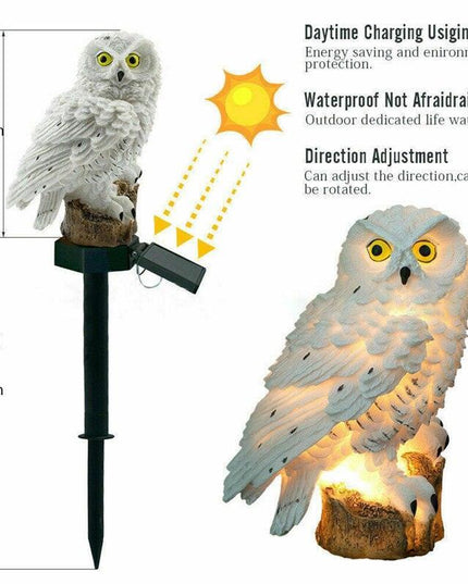 Enchanting Solar-Powered Owl and Parrot Garden Lights for Magical Outdoor Ambiance
