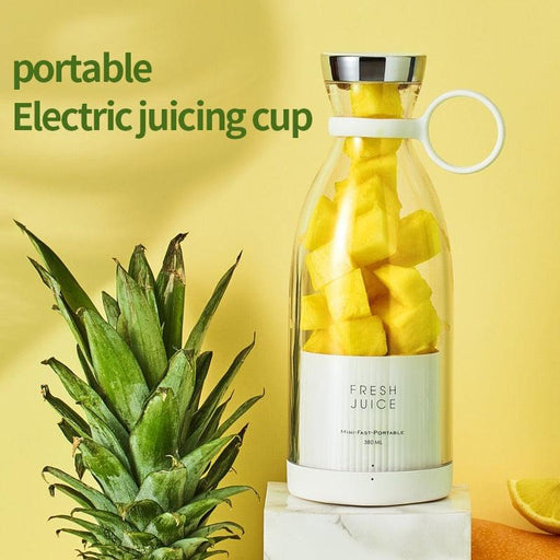 Mini USB Juicer Blender for Fresh and Healthy Drinks on-the-go