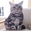 cushion cover 50cm / black cat