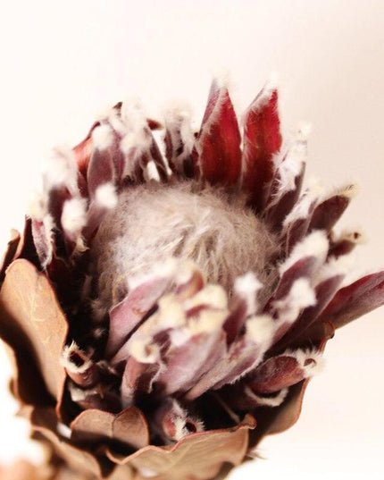 Elegant Purple and White Floral Arrangement - Premium Imported Home and Event Decor Piece