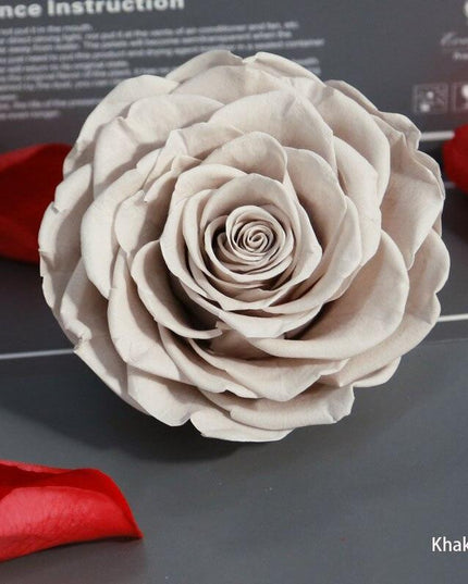 Timeless Grace: Luxurious Preserved Rose Head for Lasting Splendor