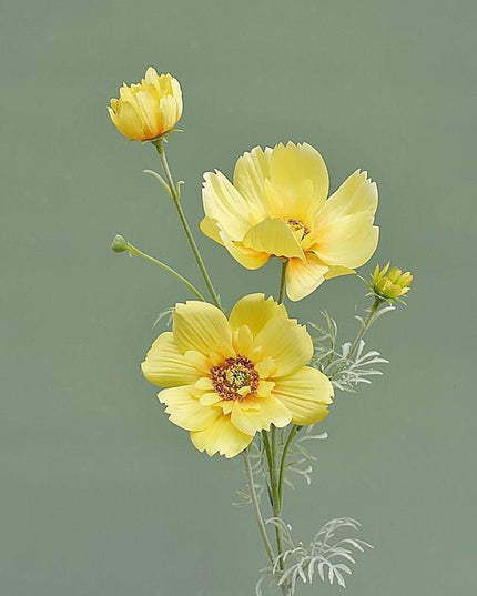 Charming Silk Queen Cosmos Flower Stem: Elegant Gesang Floral Branch